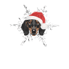 Dachshund Merry Christmas