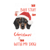 Dachshund Merry Christmas