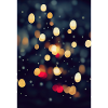 Christmas 26