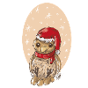 Christmas bird sparrow