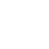 Australian Shepherd "Black Edition"