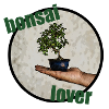 bonsai lover