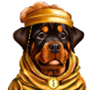 Rottweiler goldenem Bademantel Bitcoin Gold Mütze