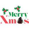 MERRY XMAS