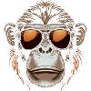Monkey Face