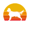 Irish Setter