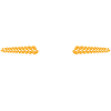 Trucker Queen