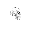 Memento Mori