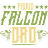 Falconry Papa