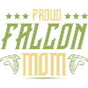 Falconry Mom