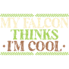 Falconry Sports