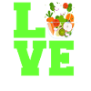 Love salad