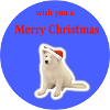 Merry Christmas blue