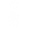 American Bulldog
