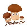 pilzfamilie,pilze,steinpilze,pilze
