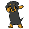 Dachshund - dance, dab, dabbing