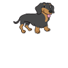 Teckel - Dachshund Squad