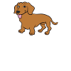Dachshund - I just love Dachshunds