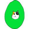 Avocato