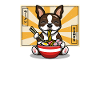 Brown Boston Terrier