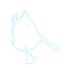 Ducks butt blue