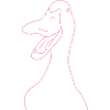 Schnatterente rosa