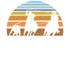 Équipe Roping