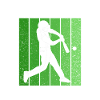 Baseball Mom