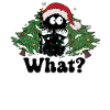Cat Christmas Christmas Cat Gift