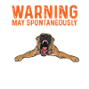 Malinois Belgian Shepherd Mechelaar Dog