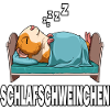 Schlafschweinchen