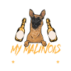 Malinois Belgian Shepherd Mechelaar Dog