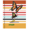 Papillons mignons Evolution Papillons