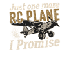 RC Flugzeug Modellbau Modellflieger