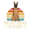 Malinois Belgian Shepherd Mechelaar Dog