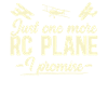 RC Flugzeug Modellbau Modellflieger