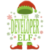 Software Developer Christmas Elf
