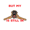 Malinois Belgian Shepherd Mechelaar Dog