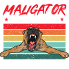 Malinois Belgian Shepherd Mechelaar Dog