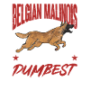 Malinois Belgian Shepherd Mechelaar Dog