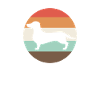 Dachshund