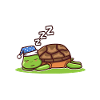Official Sleeping Shirt Turtle