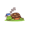 Official sleepshirt Turtle