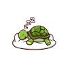 Official sleepshirt Turtle