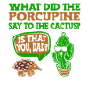Jardin de cactus