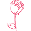 Rosenumriss Neonpink