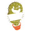 Cactus Garden