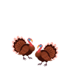 Chillin With My Turkeys