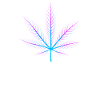 Xray cannabis leaf