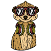 Meerkat Sunglasses